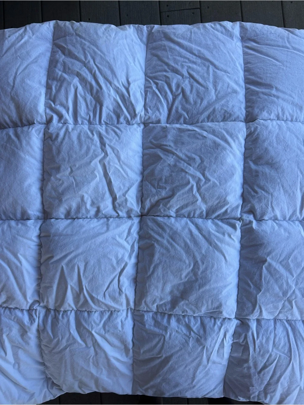 Pottery Barn Kids White DownSelectPLUS Down Blanket